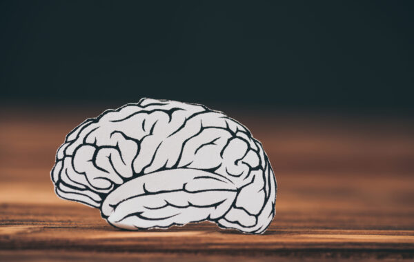 close up of paper with brain shape as dementia symbol