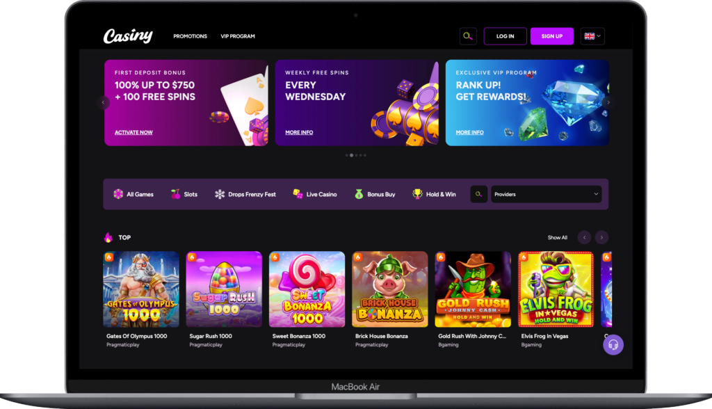 The Ultimate Guide to Casiny Bonus Maximize Your Gaming Experience